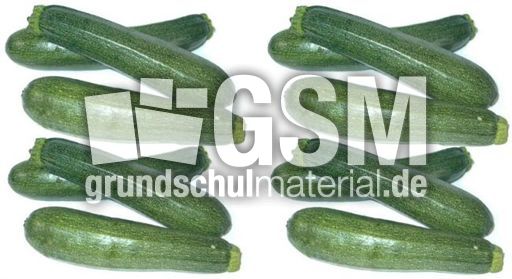 Zucchini6+6.jpg